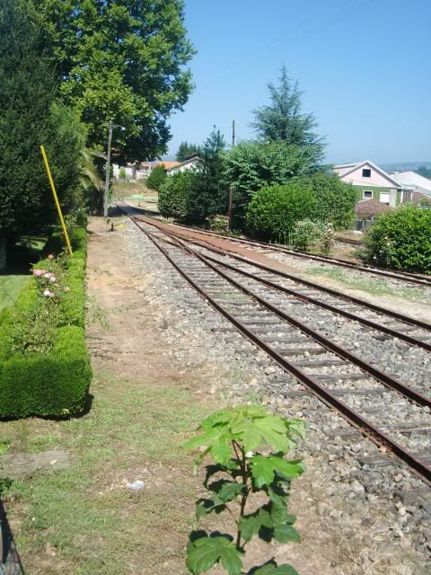 photo CIMG8653_zps899c50f2.jpg