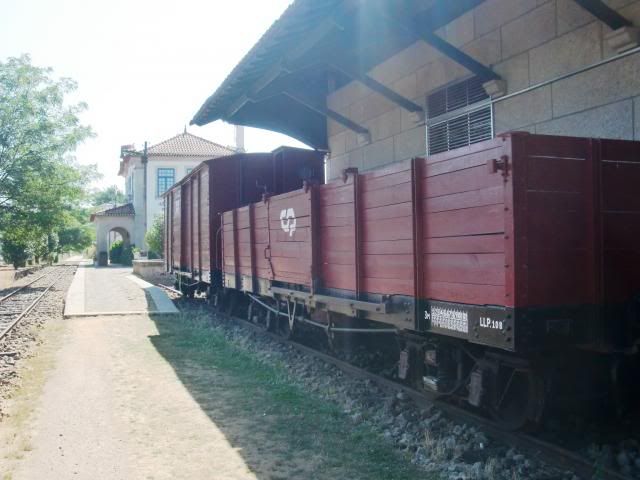 photo CIMG8658_zpsd1e2caff.jpg