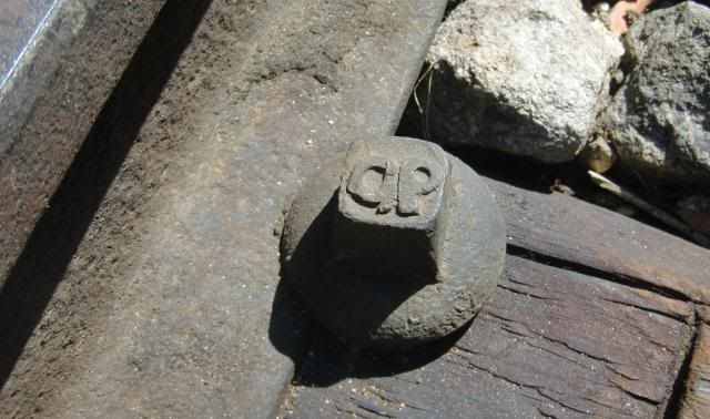 photo CIMG8665_zpsfce9f0cb.jpg