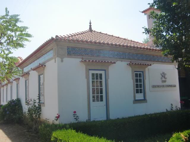 photo CIMG8672_zps45fb56aa.jpg