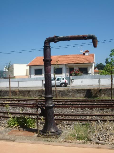 photo CIMG8691_zps6690a09a.jpg