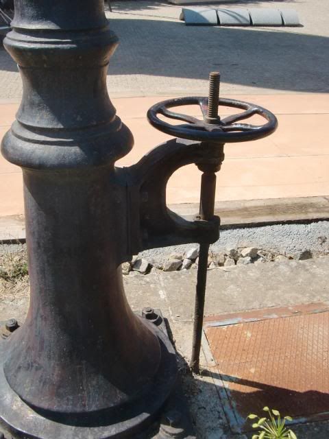 photo CIMG8693_zpsf8f48964.jpg