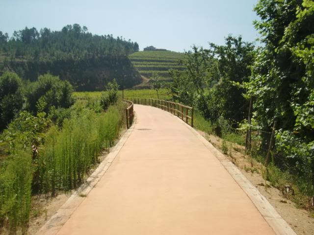 photo CIMG8700_zpsca8506ca.jpg