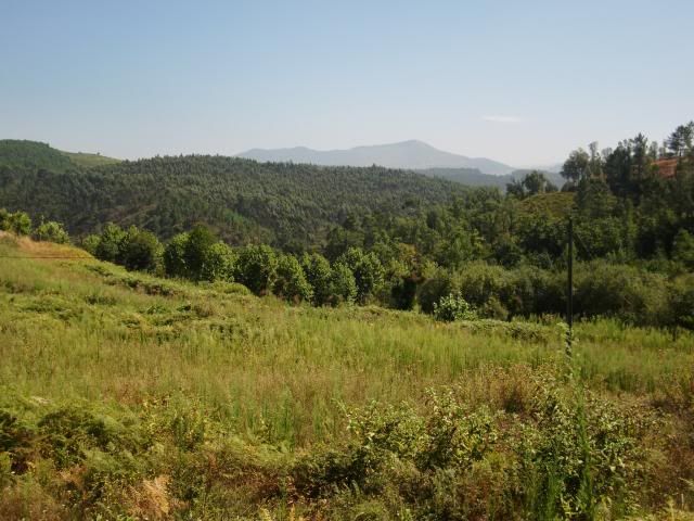 photo CIMG8701_zps08fcf4d5.jpg