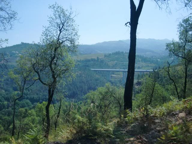 photo CIMG8702_zps4b877c71.jpg