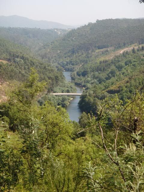 photo CIMG8704_zps0389de62.jpg