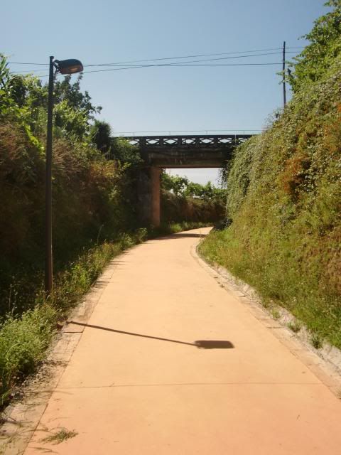 photo CIMG8709_zpsebaeaf69.jpg