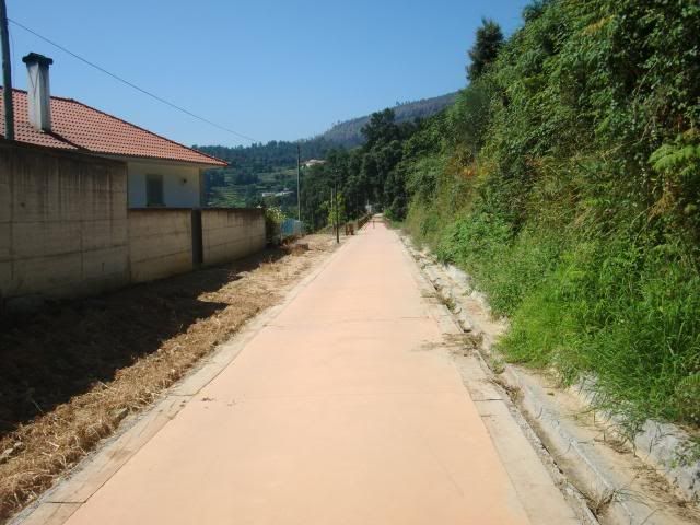 photo CIMG8710_zps571d98d5.jpg