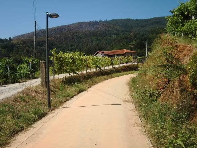 photo CIMG8716_zps555f15b1.jpg