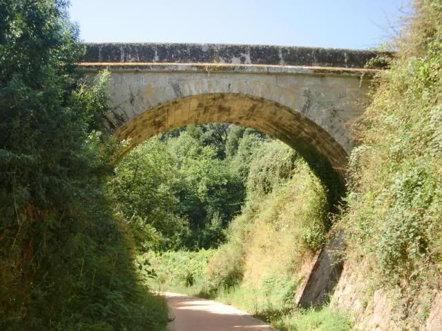 photo CIMG8717_zps4b2db2b8.jpg