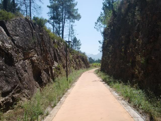 photo CIMG8719_zps0f6b3d05.jpg