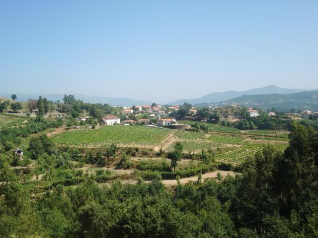 photo CIMG8721_zps61742d23.jpg