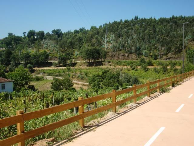 photo CIMG8726_zpscf48bffb.jpg