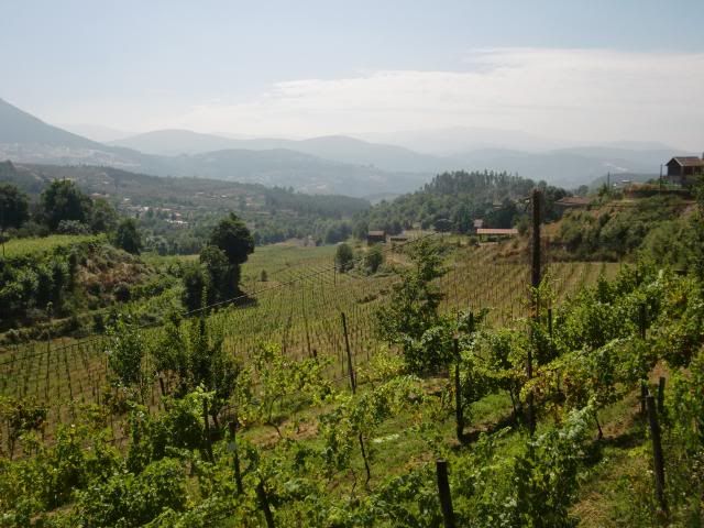 photo CIMG8727_zpsa3ff124c.jpg