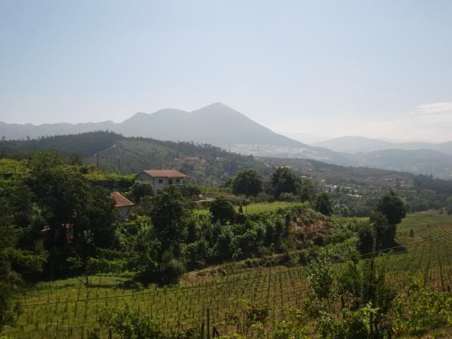 photo CIMG8728_zps18067cde.jpg