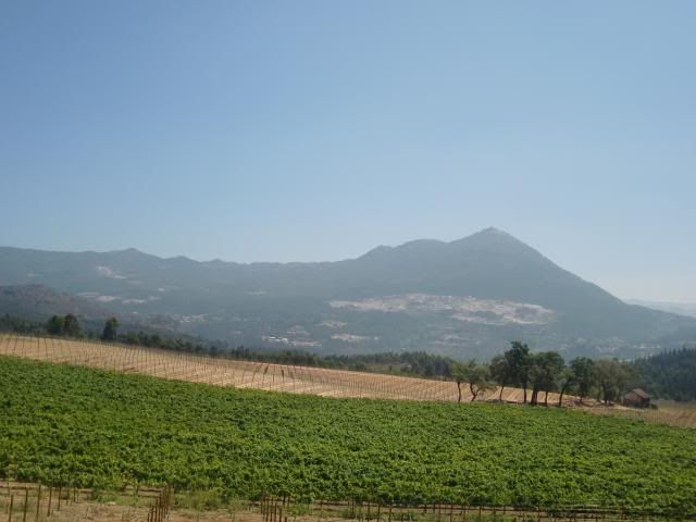 photo CIMG8745_zps6807bae4.jpg