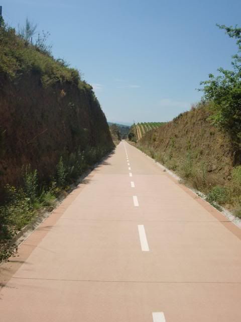 photo CIMG8749_zps56f3d5c3.jpg