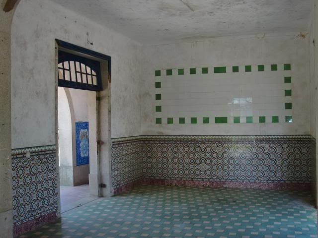 photo CIMG8764_zps05b658a3.jpg