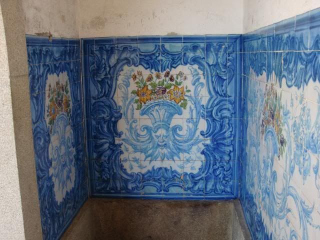 photo CIMG8768_zps11c71e44.jpg