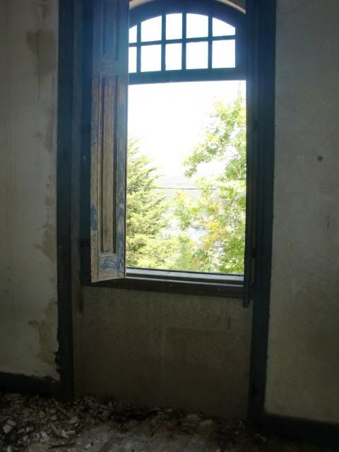 photo CIMG8784_zpsfdb8d321.jpg