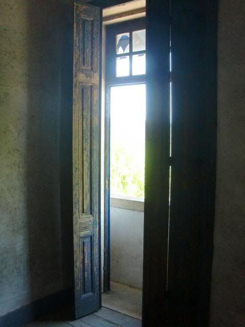 photo CIMG8787_zpsc01c866f.jpg