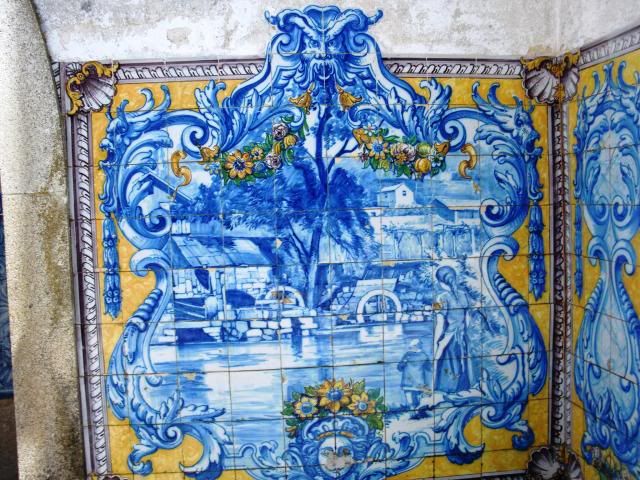 photo CIMG8791_zps75e21ccc.jpg