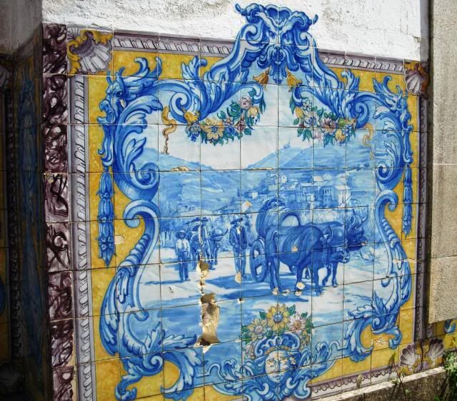 photo CIMG8792_zps4fb3d35b.jpg