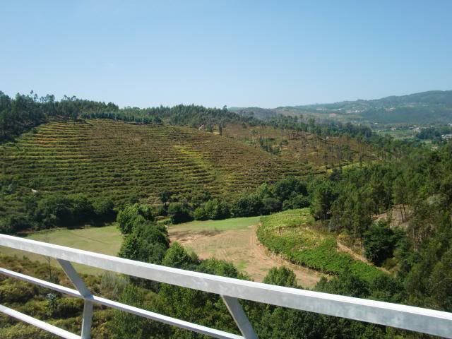 photo CIMG8795_zpsab28fe68.jpg