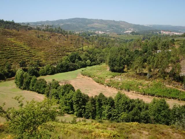 photo CIMG8800_zpsc1b281b0.jpg