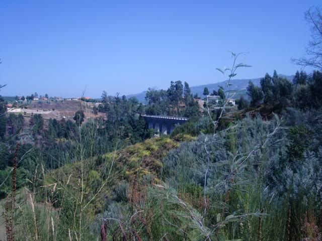 photo CIMG8802_zps4489147f.jpg