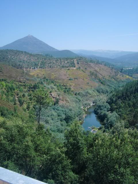 photo CIMG8807_zps64167be4.jpg