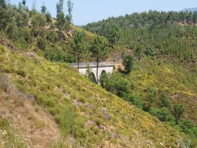 photo CIMG8810_zps2b7028c5.jpg