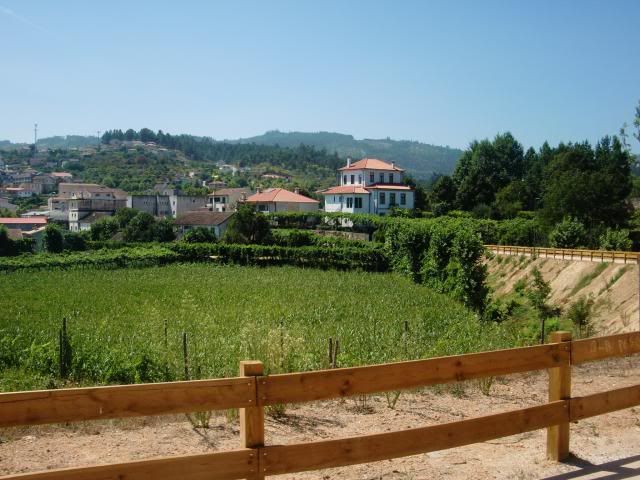 photo CIMG8820_zpsd9f3cadf.jpg