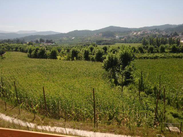 photo CIMG8821_zpsbcc1a0e7.jpg