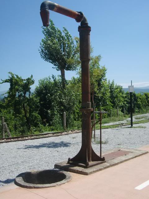 photo CIMG8831_zps75f98adb.jpg