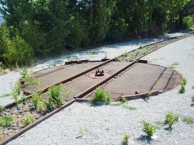 photo CIMG8844_zps4513692c.jpg