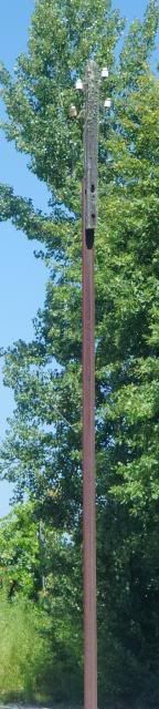 photo CIMG8860_zps143e2899.jpg