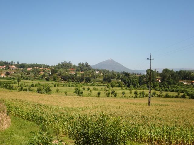 photo CIMG8866_zpsaad7483e.jpg