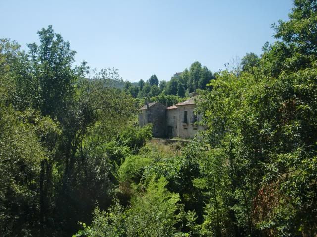 photo CIMG8869_zps73f58bd8.jpg