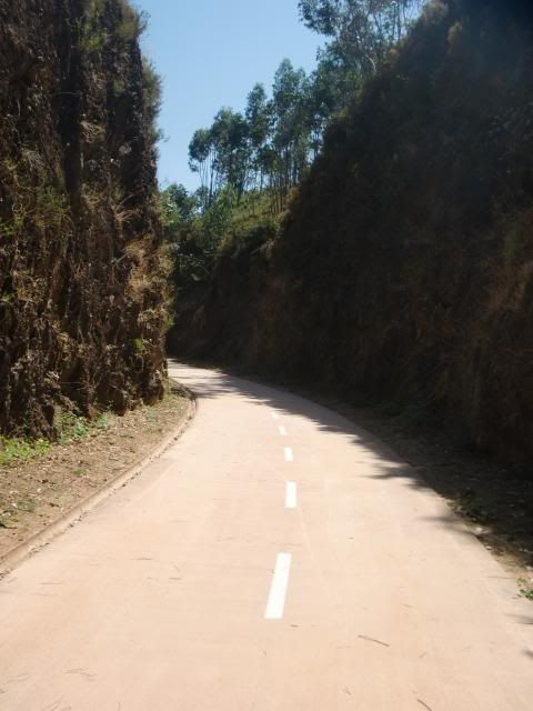 photo CIMG8877_zps4aa6c446.jpg