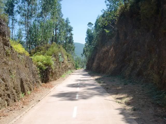 photo CIMG8878_zps85d992f3.jpg