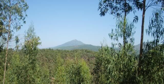 photo CIMG8879_zpsecc7a1a2.jpg