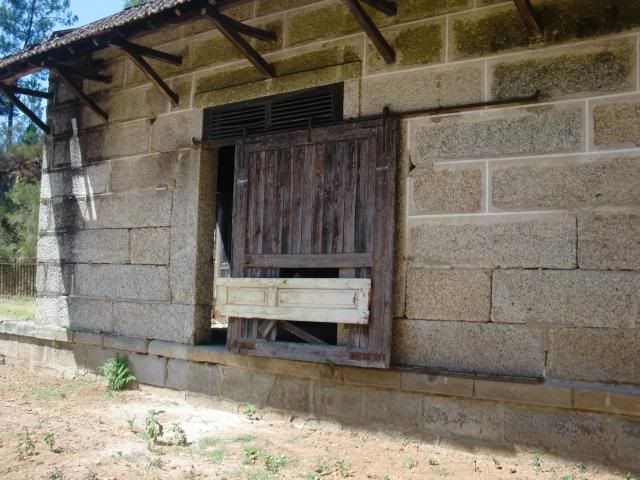 photo CIMG8883_zpscef38527.jpg