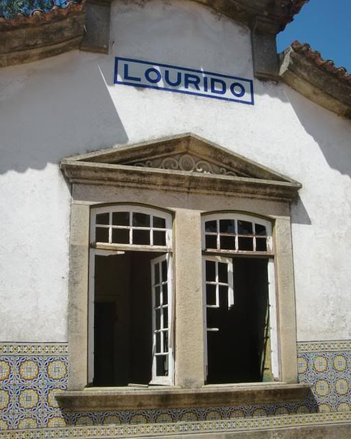 photo CIMG8886_zpsff6557d1.jpg