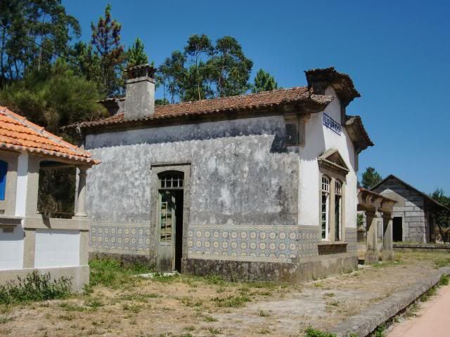 photo CIMG8888_zps11c1605d.jpg