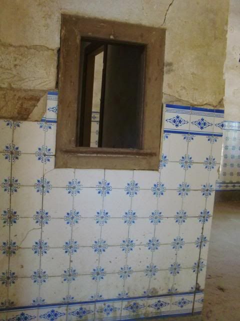 photo CIMG8892_zpsdfa3e767.jpg