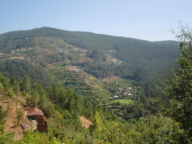 photo CIMG8899_zps0de0c390.jpg