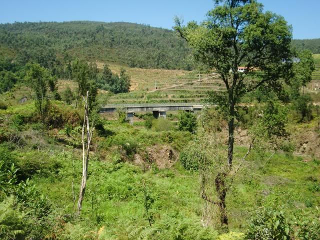 photo CIMG8901_zps305c3c0d.jpg