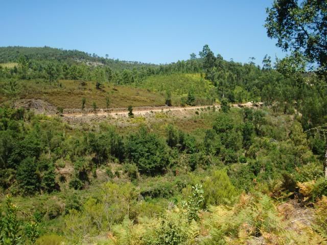 photo CIMG8903_zps215d432d.jpg