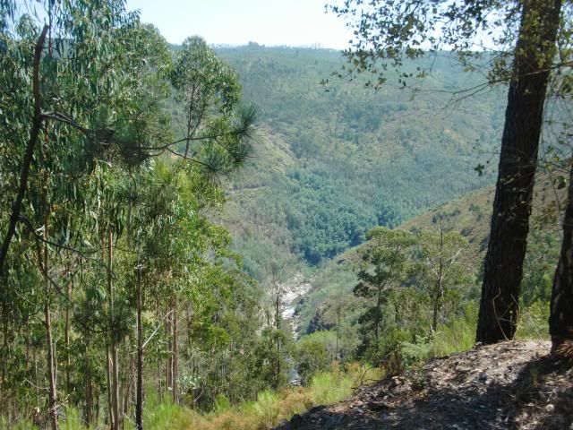 photo CIMG8905_zps0ca0fcfc.jpg